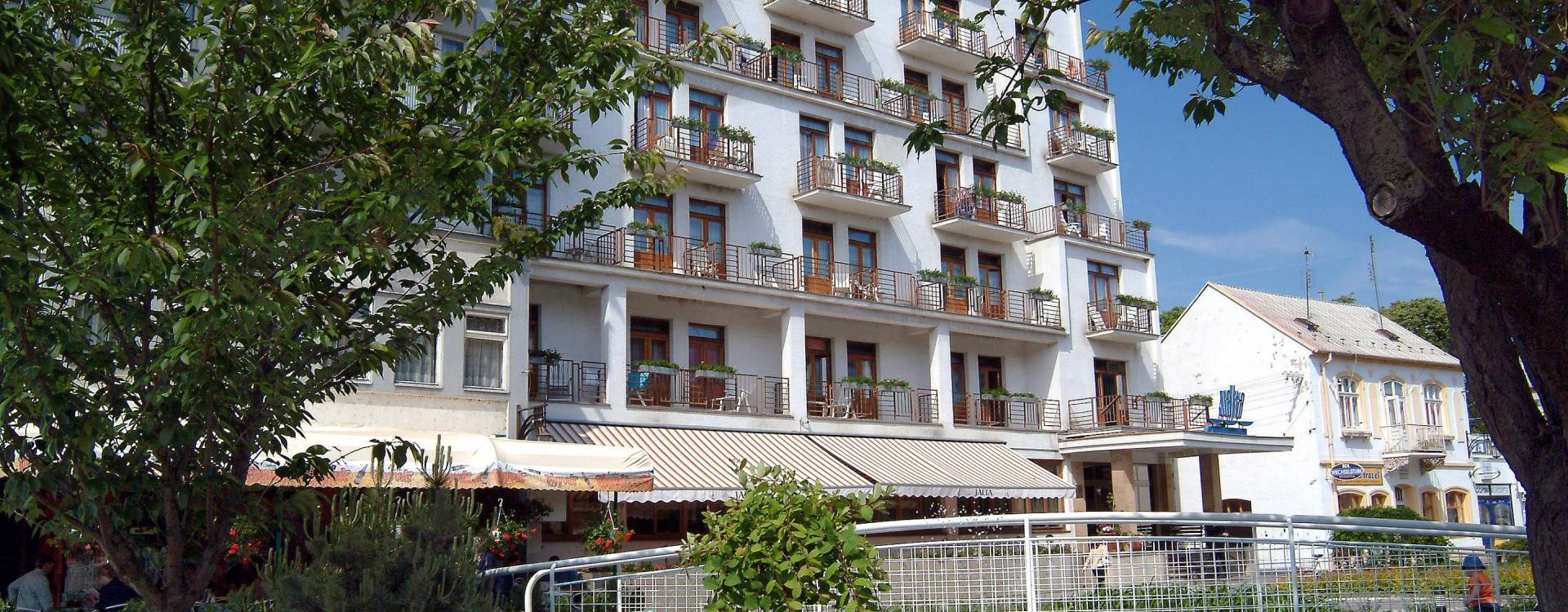 Jalta Ensana Health Spa Hotel - Ubytování se snídaní