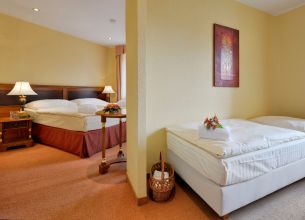 Třílůžkový pokoj DeLuxe - hotel-continental-marienbad-triple-room-08