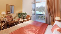 Dvoulůžkový pokoj Superior - superior2 savoy