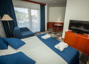 Suite - Hotel Toplice_3.jpg