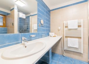 Dvoulůžkový pokoj - Standardní s klimatizací - standard-koupelna-modra