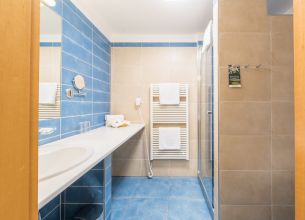 Dvoulůžkový pokoj - Standardní s klimatizací - standard-koupelna-modra1