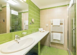 Dvoulůžkový pokoj - Standardní s klimatizací - standard-pokoj-koupelna