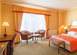 Dvoulůžkový pokoj Deluxe s výhledem na řeku - Spa-Hotel-Dvořák-39-(310-wide)