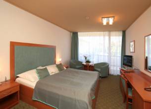 Dvoulůžkový pokoj - DBL_SGL Pokoje SPA HOTEL THERMAL , Karlovy Vary