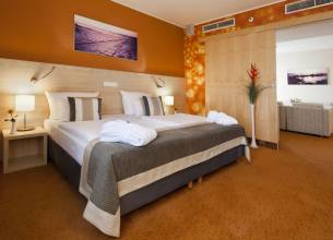 King Suite Superior - king-suite