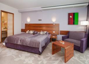 Dvoulůžkový pokoj - Hotel Atrij - double room