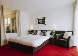 Dvolůžkový  pokoj Standard v hotelu **** - hotelski smještaj (29)