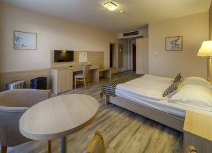 Dvoulůžkový pokoj Standard - Wellness_Hotel_Patince_hotel_1920x1080_50