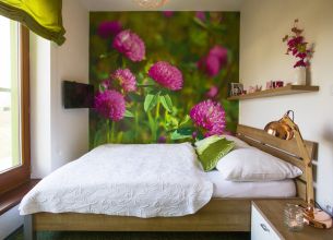 Jednolůžkový / Double pokoj mini - Pokoj mini Jetel (3)