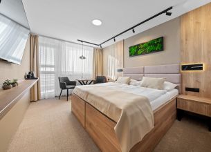 Dvoulůžkový pokoj Executive - Hotel-VEGA-8-1