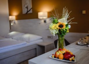 Jednolůžkový pokoj  - Hotel-Vega-dvouluzkovy-pokoj-ovoce-1536x1022