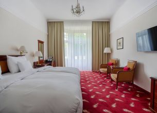 Jednolůžkový pokoj Deluxe Plus - Deluxe Plus Room (6)