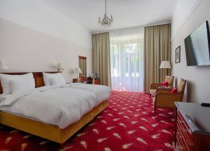 Jednolůžkový pokoj Deluxe Plus - Deluxe Plus Room (7)