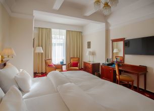 Jednolůžkový pokoj Deluxe Plus - Deluxe Plus Room