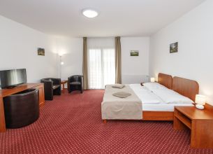 Dvoulůžkový pokoj - IMG_1514