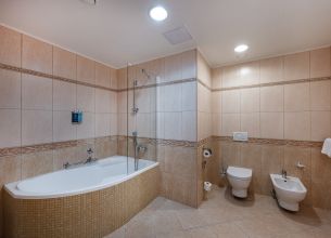 Appartement - HOTEL CENTRALNI LAZNE_room Apartma (16)