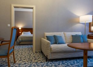 Appartement - Hotel Centralni lazne Appartma 113 (2 of 19)