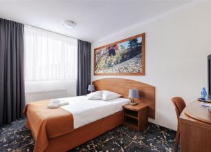 Jednolůžkový pokoj - 301380420