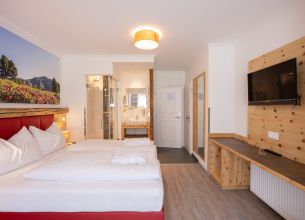 Dvoulůžkový pokoj s balkonem na jih - doppelzimmer_almrausch (5)