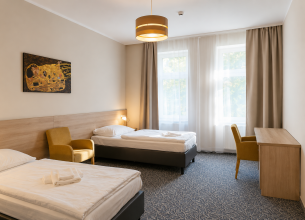 Dvoulůžkový pokoj - Villa Dr. Karla Schrotha - villa_dr_karla_schrotha_dvouluzkovy_pokoj