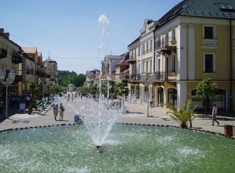 Savoy Spa & Medical Hotel - FrLazne_fontana_6.JPG