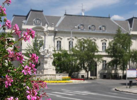 Thermal Hotel Mosonmagyarovar - Kép 138