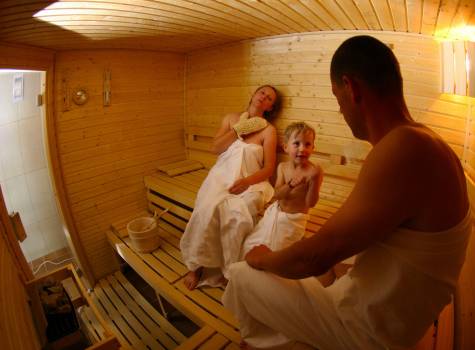 Hotel Srní a depandance Šumava - Main building_sauna_1