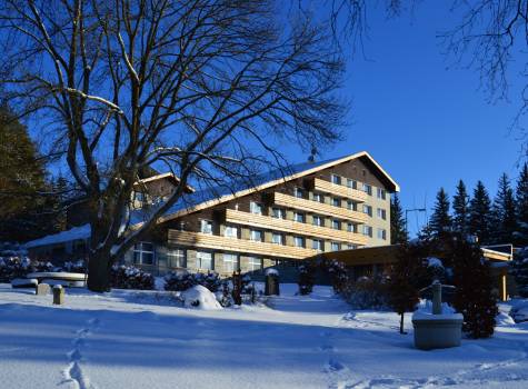 Hotel Srní a depandance Šumava - DSC_0003