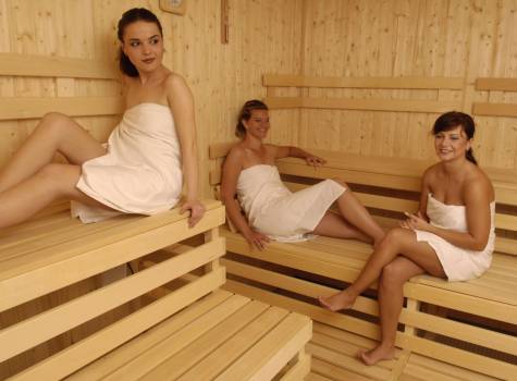 Spa Hotel Butterfly - 49_Butterfly_sauna.jpg