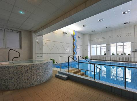 Běhounek Spa & Wellness - Behounek_swimming pool - 4.jpg