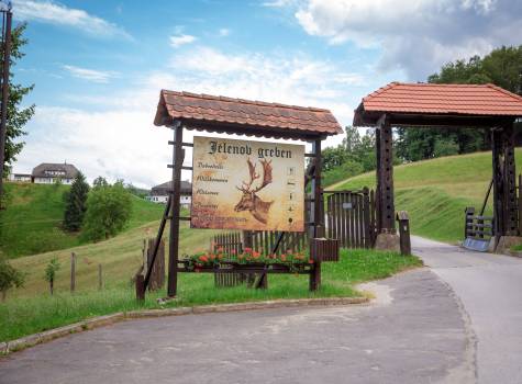 Hotel Breza - Deer-farm-olimje-Terme-Olimia (2)