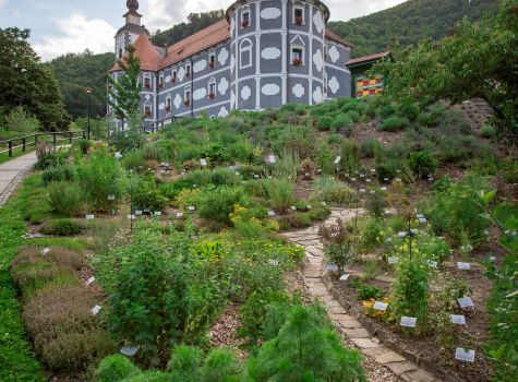 Hotel Breza - Olimje-monastery-Terme-Olimia (1)