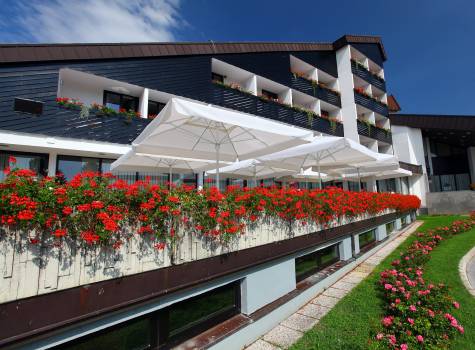 Hotel Breza - Breza (3)