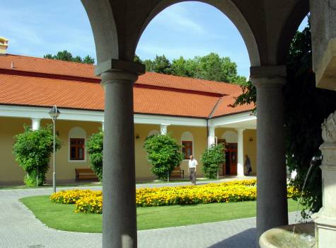 Vila Trajan Ensana Health Spa Hotel - Napoleon spa13.jpg