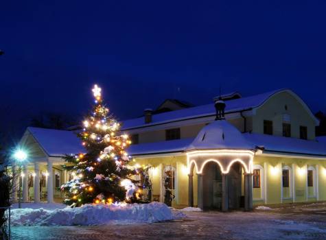 Villa Trajan Ensana Health Spa Hotel - Napoleon Spa-winter4.JPG