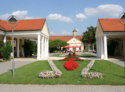 Vila Trajan Ensana Health Spa Hotel - Napoleon Spa3.jpg