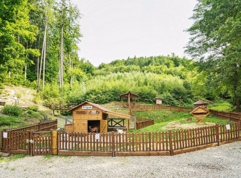 Wellness Hotel Ambra - Palouček u tří kozlílů