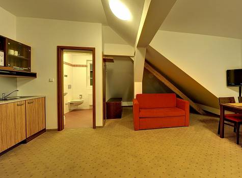 Hotel Běhounek****Superior - Dalibor_Cat. I. A PLUS_DBL room - 2.jpg