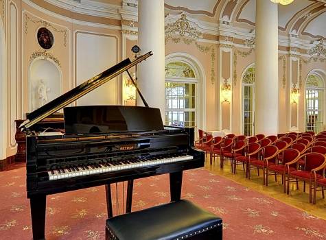 Radium Palace Spa & Wellness - Radium Palace_Concert Hall - 5.jpg