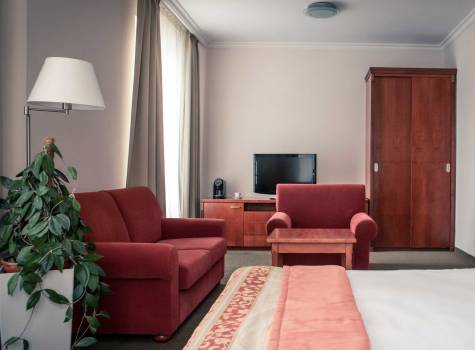 Spa & Wellness Hotel Olympia - Junior Suite