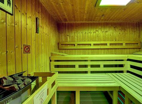 Radium Palace - Radium Palace_sauna.jpg