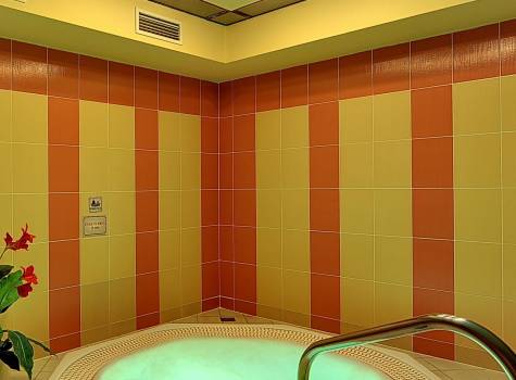 Radium Palace Spa & Wellness - Radium Palace_Whirpool - 2.jpg