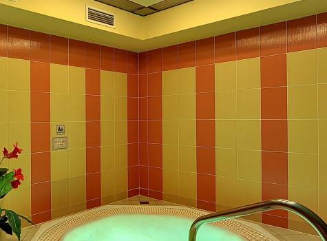 Radium Palace Spa & Wellness - Radium Palace_Whirpool - 2.jpg