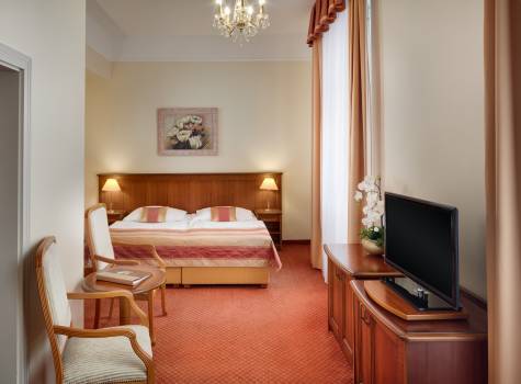 Hotel Centrální Lázně - double-room-superior-plus_48248143561_o