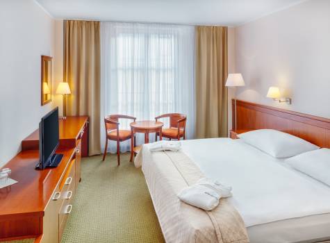 Spa & Wellness Hotel Olympia - Double Room