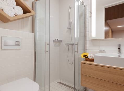 Prekmurska vas Ajda - Bathroom_PrekmurskaVasAjda_Superior_apartma_4plus1_01_072018_SK