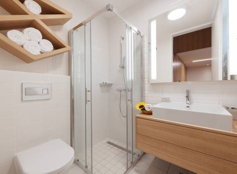 Prekmurska vas Ajda - Bathroom_PrekmurskaVasAjda_Superior_apartma_4plus1_02_072018_SK