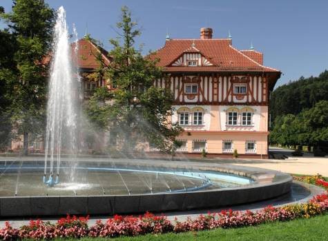 Hotel Jurkovičův dům - Jurkovič s fontánou.jpg