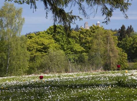 Parkhotel Tosch - Hotelový park s pohledem na hrad Kašperk.jpg